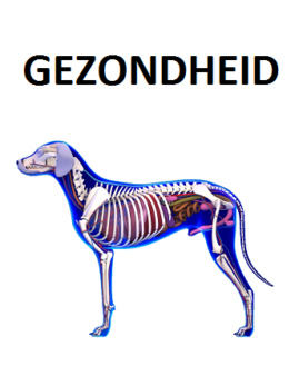 Gezond