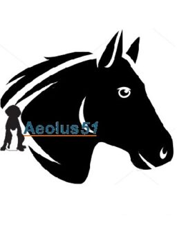 Paard