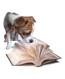 Boeken